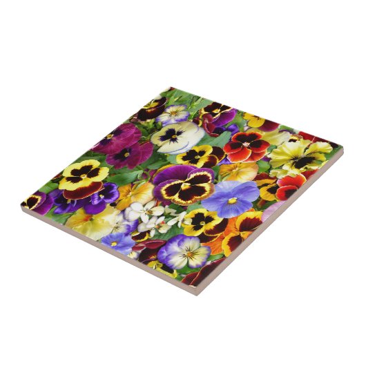  Pansies Tegeltje (Zijkant)