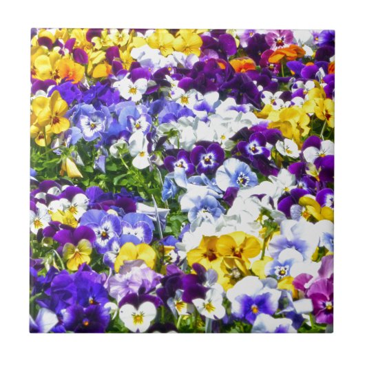 Pansies Tegeltje (Voorkant)