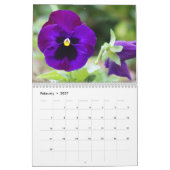 Pansies voor het jaar 2016: kalender-aangepast kalender (Feb 2027)