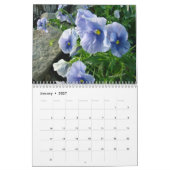 Pansies voor het jaar 2016: kalender-aangepast kalender (Jan 2027)