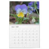 Pansies voor het jaar 2016: kalender-aangepast kalender (Mar 2027)