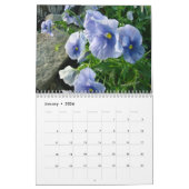 Pansies voor het jaar 2016: kalender-aangepast kalender (Jan 2026)