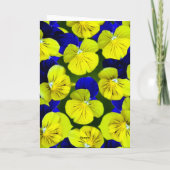 Pansies worden snel goed kaart (Achterkant)