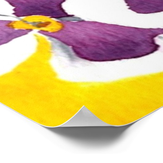 Pansy #4 Art Print (Hoek)