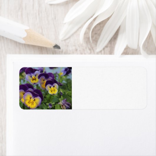 Pansy adreslabel etiket (Insitu)