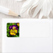 Pansy adreslabel etiket (Insitu)