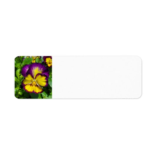 Pansy adreslabel etiket (Voorkant)