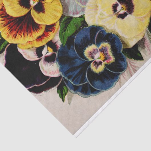 Pansy Antiek - duitse kweekpapier Tissuepapier (Detail)