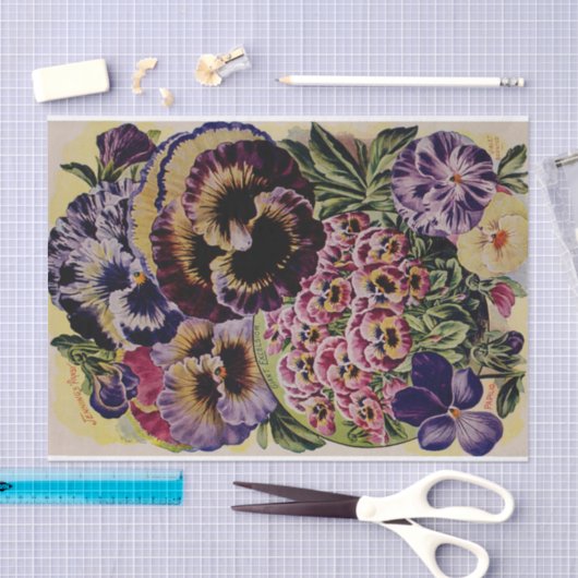 Pansy Antiek Varieties Garden Weefpapier Tissuepapier (Craft)