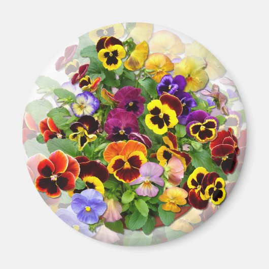 PANSY BEAUTY ~ Magnet (Voorkant)