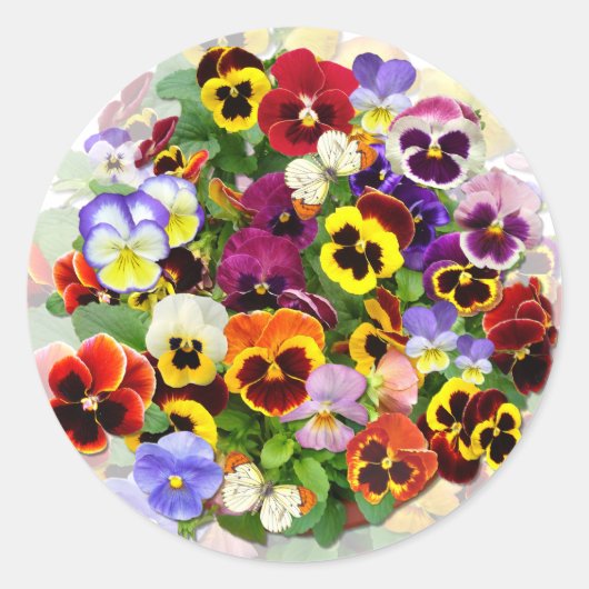 Pansy Beauty met Butterflies Ronde Sticker (Voorkant)