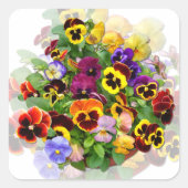 PANSY BEAUTY ~Square Stickers (Voorkant)