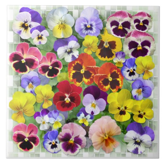 Pansy Beauty Tegeltje (Voorkant)