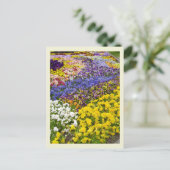 Pansy Bed Briefkaart (Staand voorkant)