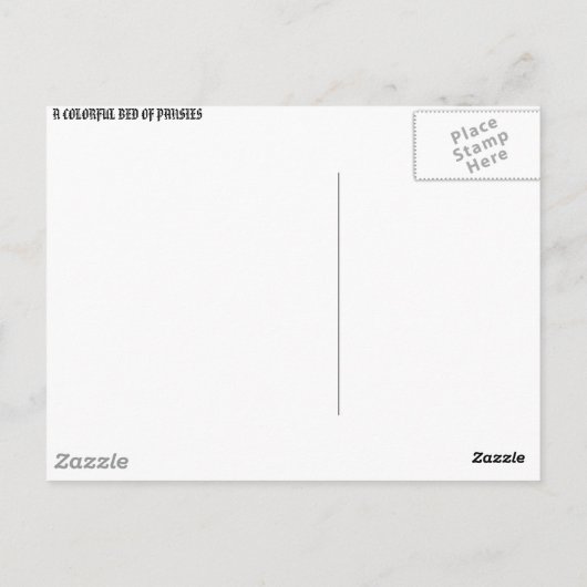 Pansy Bed Briefkaart (Achterkant)