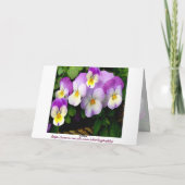 Pansy ~ Bedankt ~ Card (Achterkant)