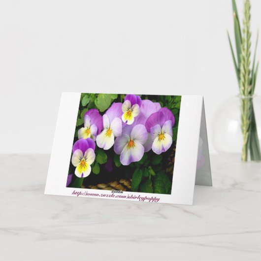 Pansy ~ Bedankt ~ Card (Achterkant)