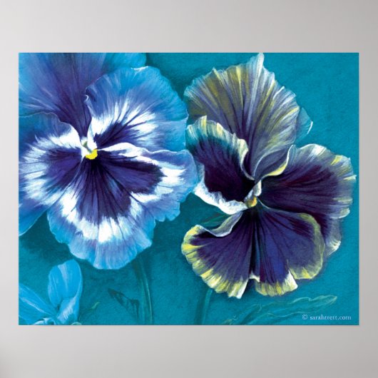 Pansy bestudeert fijnkunstbloem poster print (Voorkant)
