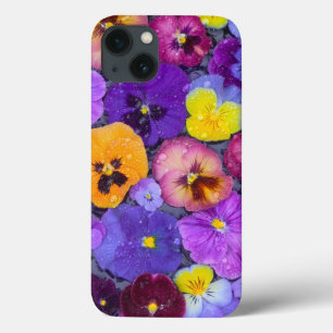 Pansy bloemen die drijven in een vogelbad met dauw iPhone 13 hoesje