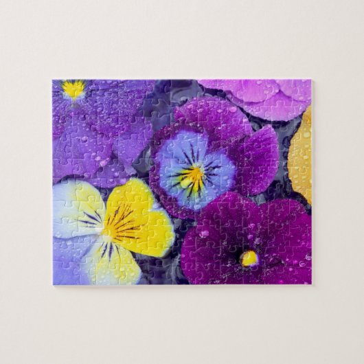 Pansy bloemen die drijven in een vogelbad met dauw legpuzzel (Horizontaal)