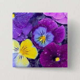 Pansy bloemen die drijven in een vogelbad met dauw vierkante button 5,1 cm