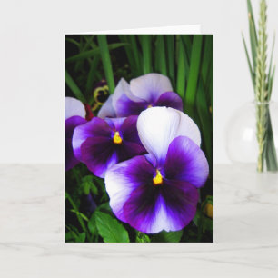 Pansy bloemen - Kaart