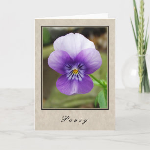 Pansy - Bloemen serie Kaart