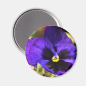 Pansy Bloemmagneet Magneet (Voorkant / Achterkant)