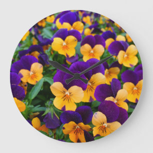 Pansy Bloom: Garden Beauty Close-up. Grote Klok