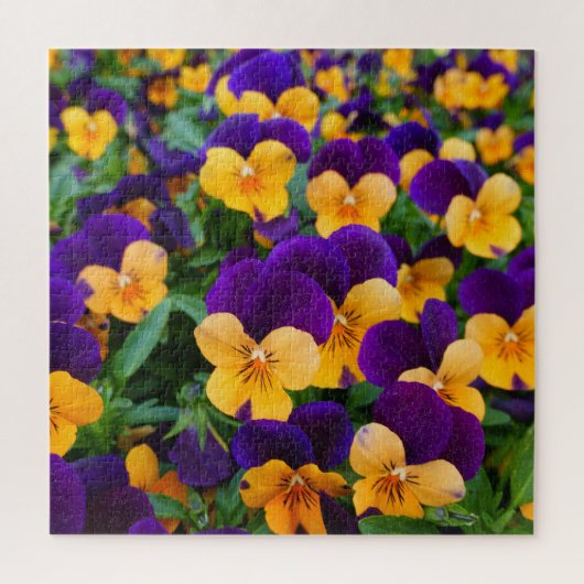 Pansy Bloom: Garden Beauty Close-up. Legpuzzel (Verticaal)