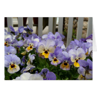 Pansy Blues Fence