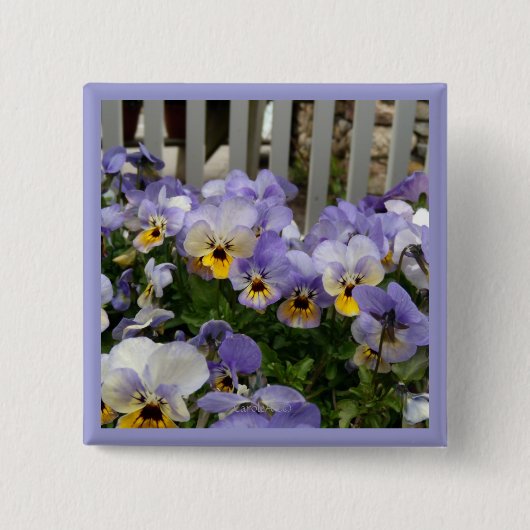 Pansy Blues Fence Vierkante Button 5,1 Cm (Voorkant)