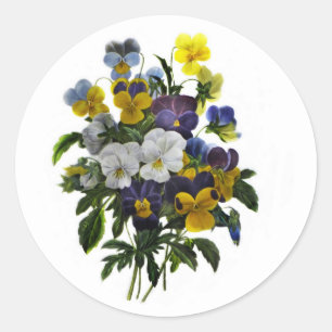  pansy botanische afdruk ronde sticker