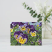 Pansy briefkaart (Staand voorkant)