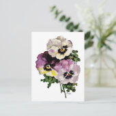 Pansy Briefkaart (Staand voorkant)