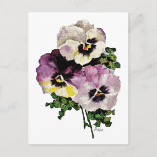 Pansy Briefkaart