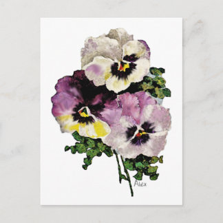 Pansy Briefkaart