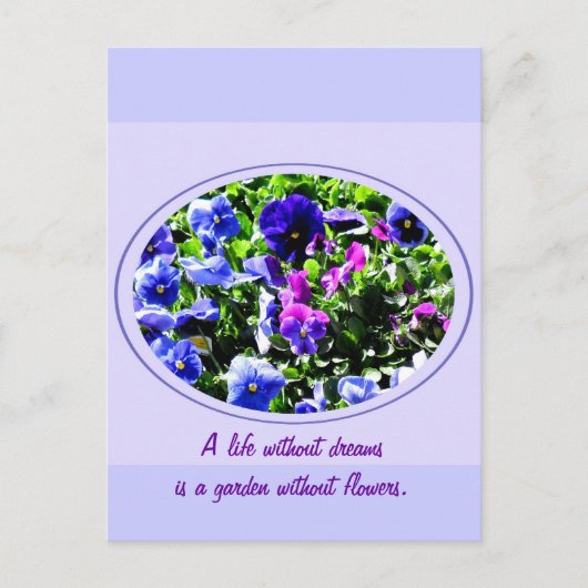 Pansy Briefkaart (Voorkant)