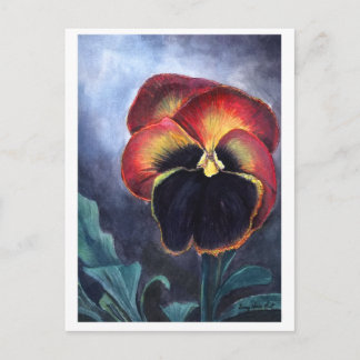 Pansy briefkaart