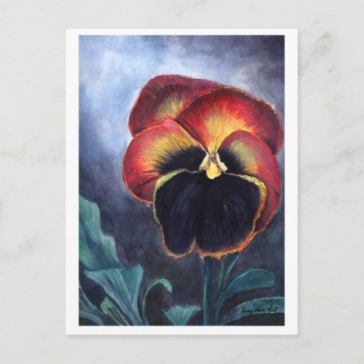 Pansy briefkaart (Voorkant)