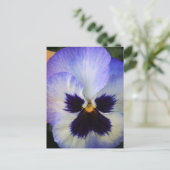 Pansy Briefkaart (Staand voorkant)