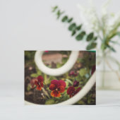 Pansy Briefkaart (Staand voorkant)