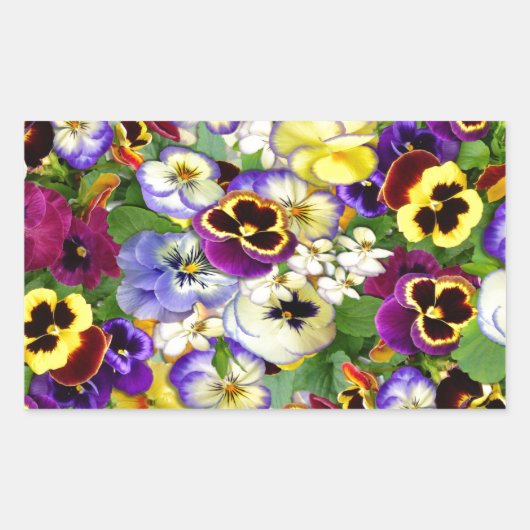 Pansy Cascade Rechthoekige Sticker (Voorkant)
