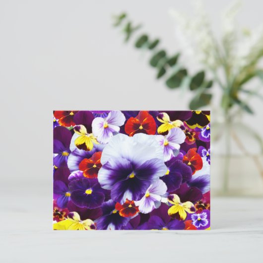 Pansy Celebration Uitnodiging Briefkaart (Staand voorkant)