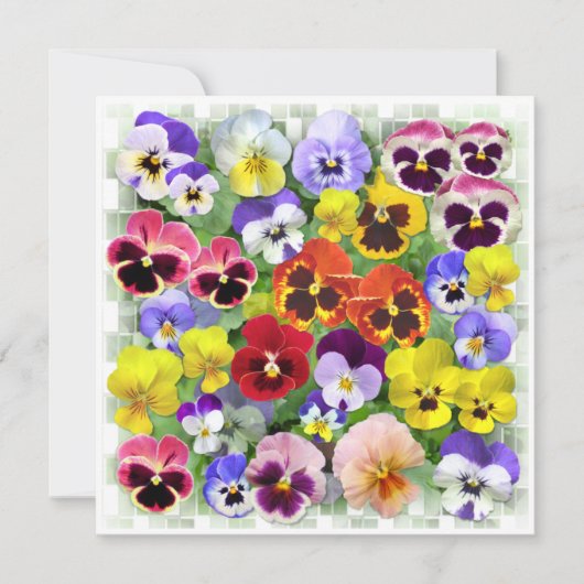 Pansy Collage Kaart (Voorkant)