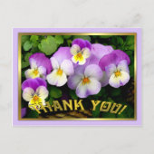 Pansy ~ Dank je ~ Briefkaart (Voorkant)