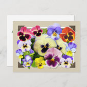 Pansy Delight Briefkaart (Voorkant / Achterkant)