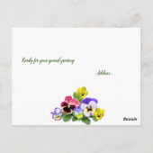 Pansy Delight Briefkaart (Achterkant)