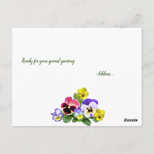 Pansy Delight Briefkaart (Achterkant)