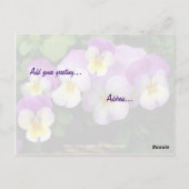 Pansy ~ Denking of you ~ Briefkaart (Achterkant)